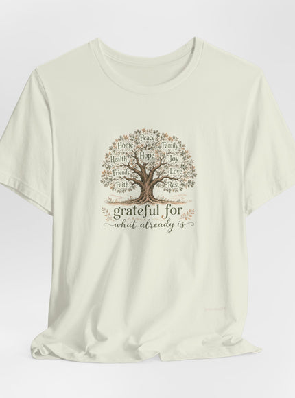 "Grateful For What Already Is" Unisex Jersey Short Sleeve Tee