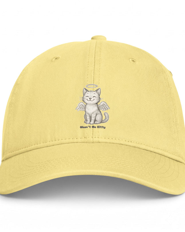 "Wasn't Me Kitty" Coastal Washed Cap