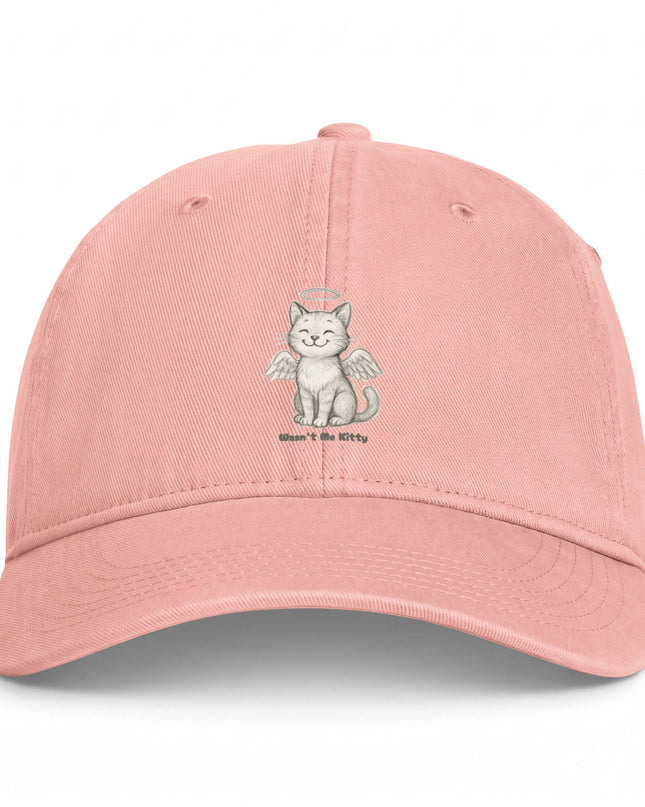 "Wasn't Me Kitty" Coastal Washed Cap