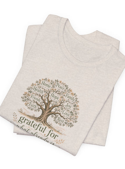 "Grateful For What Already Is" Unisex Jersey Short Sleeve Tee