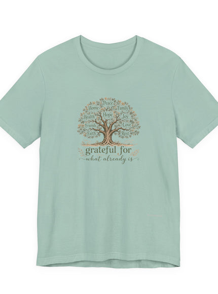 "Grateful For What Already Is" Unisex Jersey Short Sleeve Tee