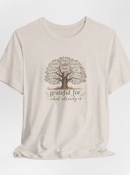 "Grateful For What Already Is" Unisex Jersey Short Sleeve Tee