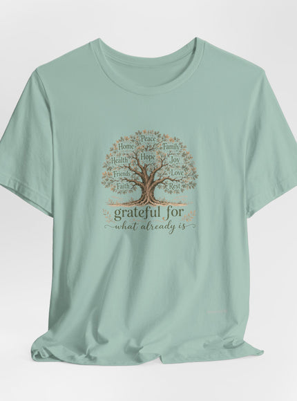 "Grateful For What Already Is" Unisex Jersey Short Sleeve Tee
