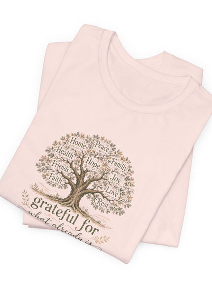 "Grateful For What Already Is" Unisex Jersey Short Sleeve Tee