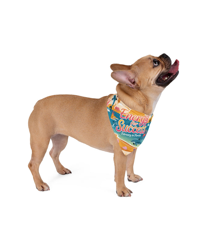 "February in Florida, Energy for Success" Pet Bandana