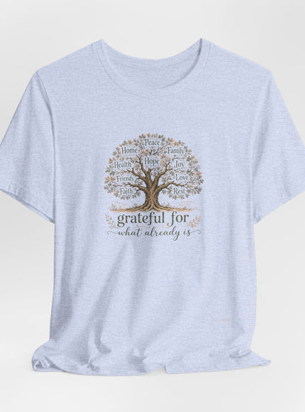 "Grateful For What Already Is" Unisex Jersey Short Sleeve Tee