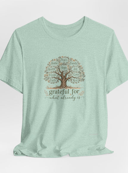"Grateful For What Already Is" Unisex Jersey Short Sleeve Tee
