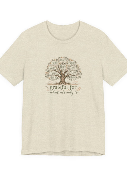 "Grateful For What Already Is" Unisex Jersey Short Sleeve Tee