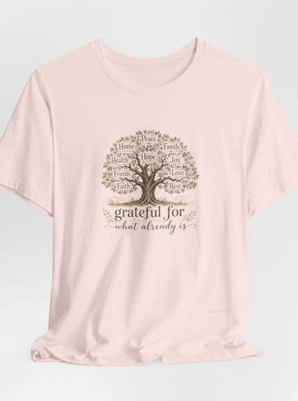 "Grateful For What Already Is" Unisex Jersey Short Sleeve Tee