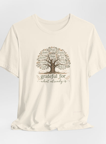 "Grateful For What Already Is" Unisex Jersey Short Sleeve Tee