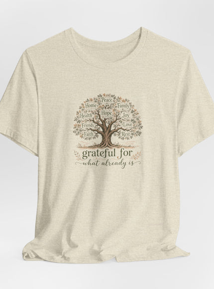 "Grateful For What Already Is" Unisex Jersey Short Sleeve Tee