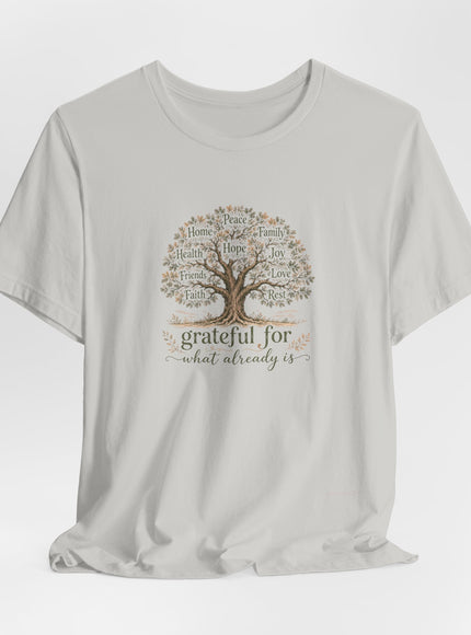 "Grateful For What Already Is" Unisex Jersey Short Sleeve Tee